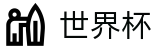 FIFA世界杯（中国）官方指定平台 | 网上买球赛最新平台最新优惠